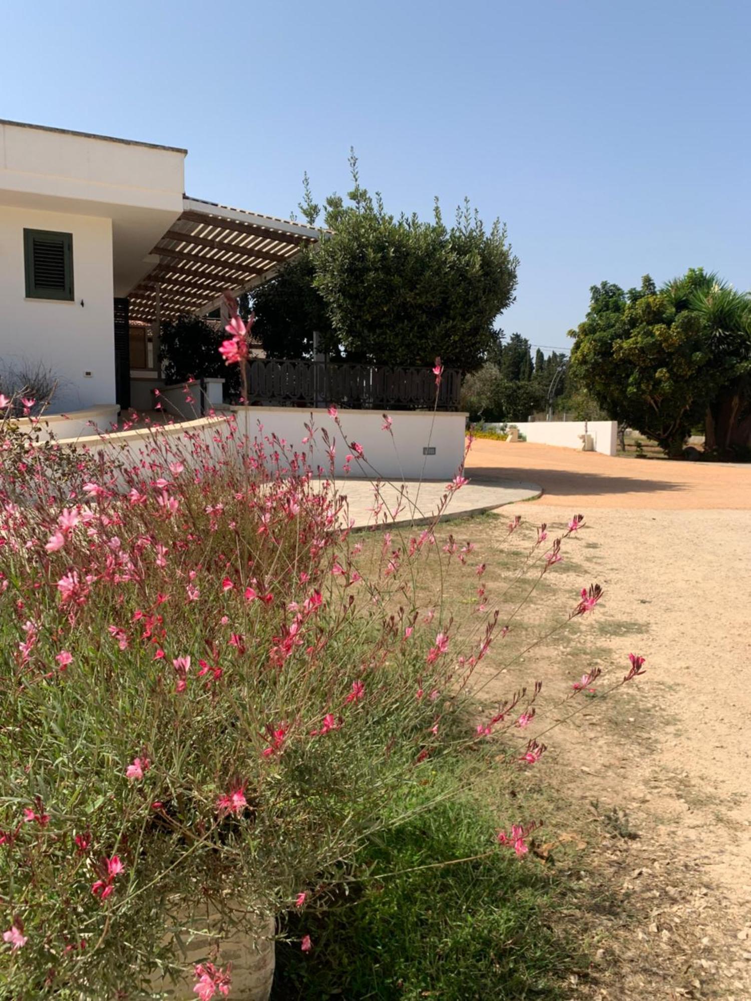 Agriturismo Fontanelle Otranto Eksteriør bilde