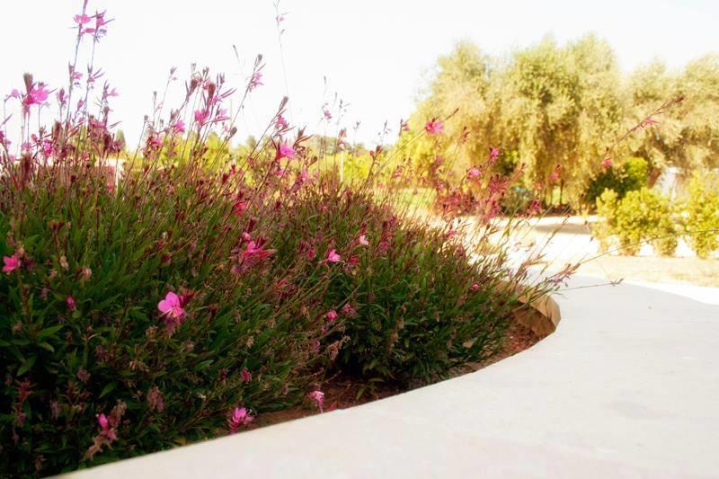 Agriturismo Fontanelle Otranto Eksteriør bilde