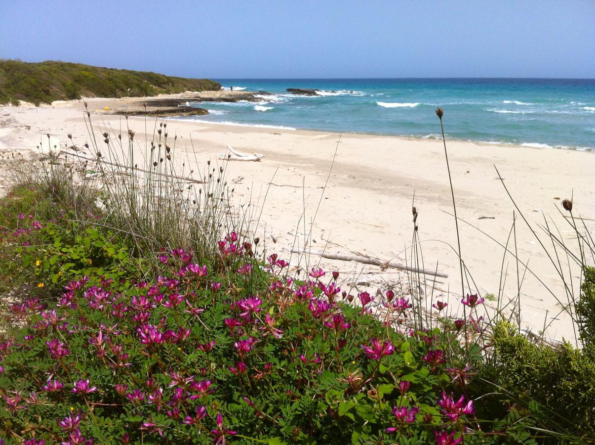 Agriturismo Fontanelle Otranto Eksteriør bilde